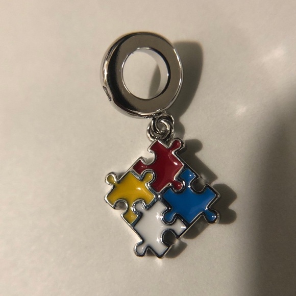 925 Sterling Silver Autism Spectrum awareness Pendant Charm, fits pandora - Picture 2 of 5